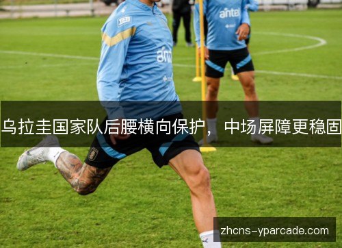 乌拉圭国家队后腰横向保护，中场屏障更稳固
